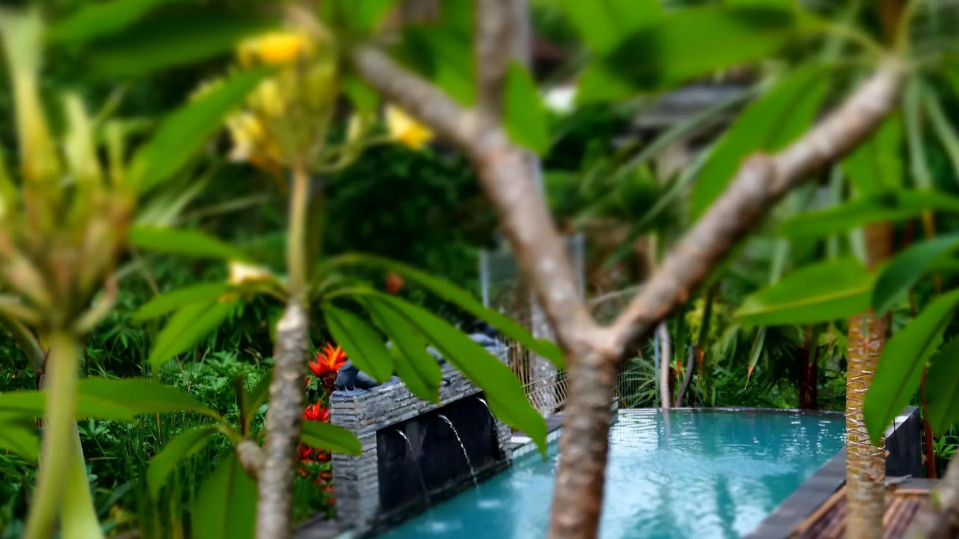 ** Pensjonat Hotel Desak Putu Putra Hidden Ubud Indonezja